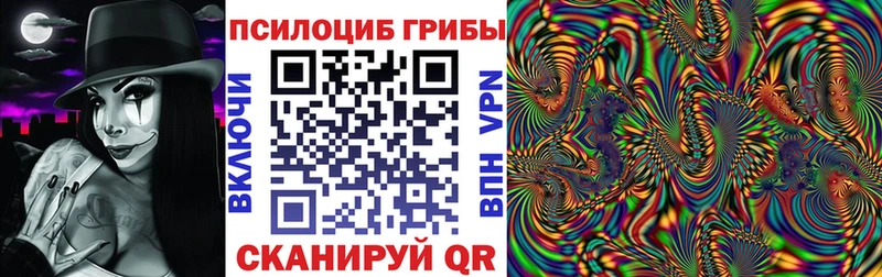 даркнет сайт  Гаджиево  Псилоцибиновые грибы Cubensis 